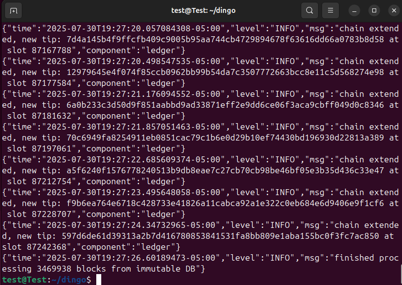 dingo-load-snapshot